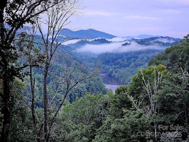 386 Old Log Rd, Green Mountain, NC 28740 - photo 6