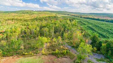 245 Allen Rd, Turner, ME 04282 - photo 5