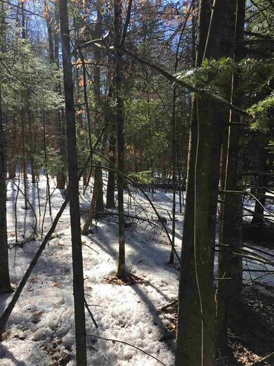 23 Littleton Rd unit lot 23 (Survey map, Whitefield, NH 03598 - photo 6