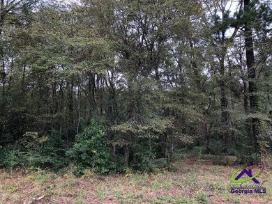 0 Wood Oak Cir unit 233873, Cochran, GA 31014 - photo 5