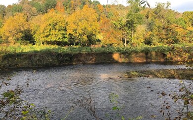 Additional View