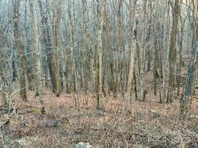 479 El Miner Dr, Mars Hill, NC 28754 - photo 7