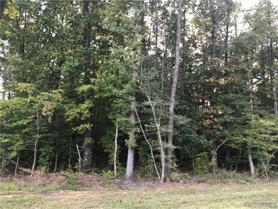 13204 Eagle Landing Ct, Glen Allen, VA 23059 - photo 3