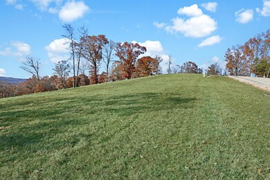 Lot 2 Breathless View Dr, Ruth B Rural Township, MO 65686 - photo 5