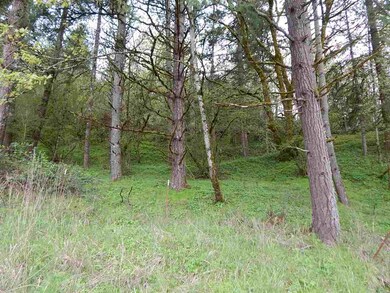 6990 Zena Rd NW, Salem, OR 97304 - photo 3