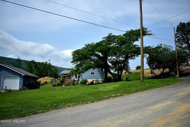 305 Masser Rd, Allenwood, PA 17810 - photo 6