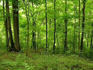 550 Normans Camp Rd, Harrodsburg, KY 40330 - photo 5