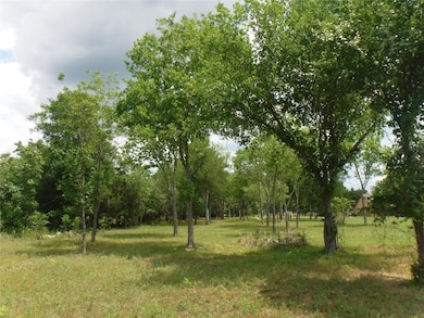 View of nature