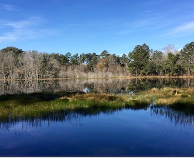 165 Still Water Ln, Havana, FL 32333 - photo 5