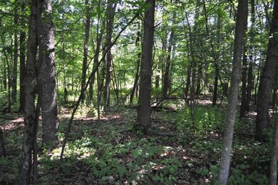 10014 Huron Creek Dr, Dexter, MI 48130 - photo 7