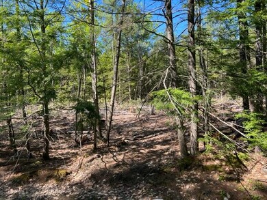Land 2