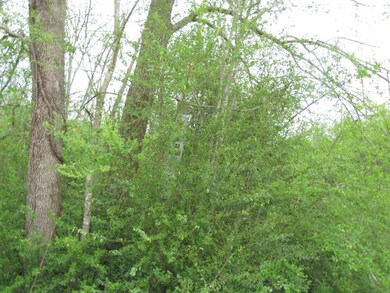 0 Dailey Loop unit 1818001, Linden, TN 37096 - photo 6