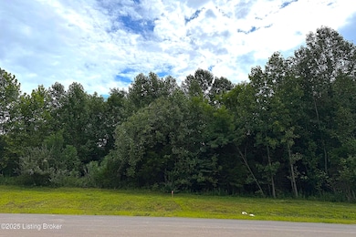 5304 Sycamore Ridge Ln, La Grange, KY 40031 - photo 3