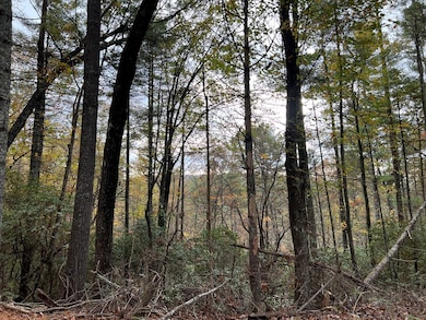 0 Zion Hill Rd unit 411375, Ellijay, GA 30540 - photo 4