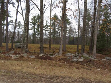 Lot # 46 (133) Black's Landing Rd, Moultonborough, NH 03254 - photo 6