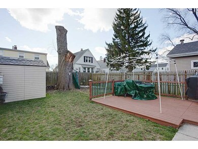 Yard/Garden.