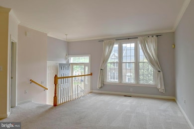 3626 Ransom Place, Alexandria, VA 22306 - photo 4