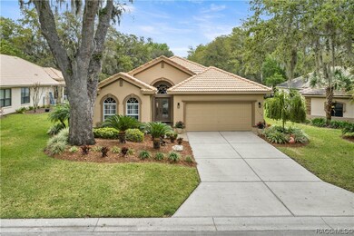 1136 W Beagle Run Loop, Hernando, FL 34442 - photo 3