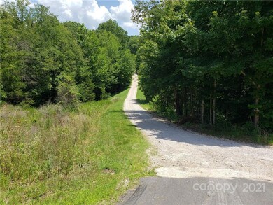 gravel road leading towards property (summer view)