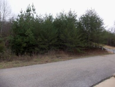 Lot 63 Hidden River Ln, Spencer, TN 38585 - photo 7