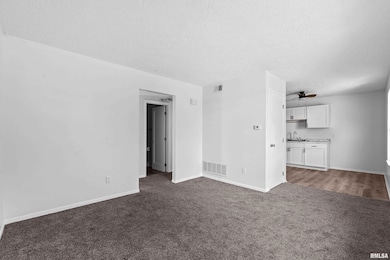 3920 W 13th St, Davenport, IA 52804 - photo 7