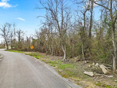 0 Bell Verdine Rd, Parish Governing Authority District 15, LA 70669 - photo 5