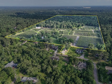 15629 Knotty Oaks Trail, Magnolia, TX 77355 - photo 2