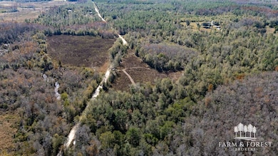 XX2 Seay Rd, Cottondale, FL 32431 - photo 3