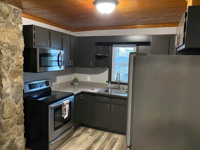 113 Ridge Rd, Fall Branch, TN 37656 - photo 3