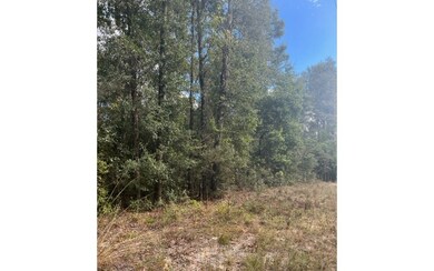 LOT47 Trenton Terrace, Fort White, FL 32038 - photo 2