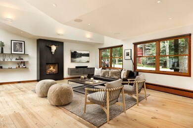 411 W Francis St, Aspen, CO 81611 - photo 3