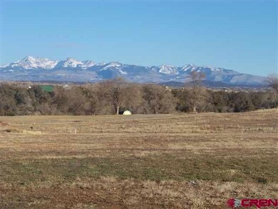 0 Road N 8 Loop Lot unit 13 705598, Cortez, CO 81321 - photo 4