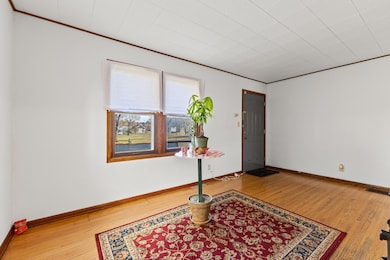 917 Jessie St, Saint Paul, MN 55130 - photo 5