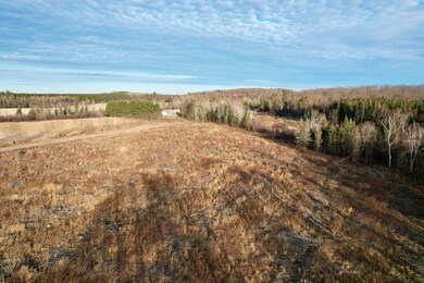 10 Acres Cth N, Crandon, WI 54511 - photo 5