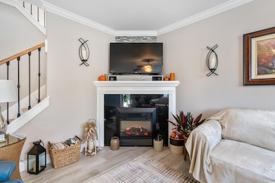 Living room featuring light hardwood / wood-style 