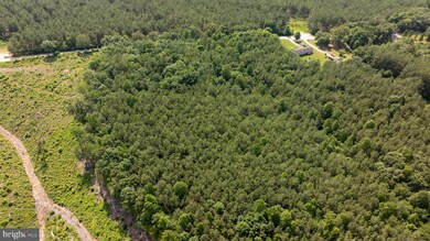 TBD Springfield Rd unit 1, Meherrin, VA 23954 - photo 7