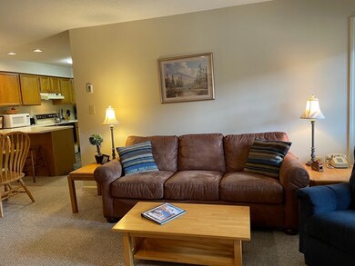 227 Main St unit 318, Lincoln, NH 03251 - photo 5