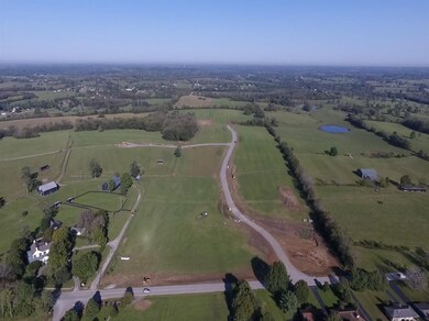 122 Grandview Trail, Wilmore, KY 40390 - photo 7