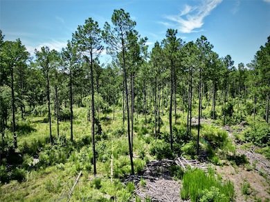 000 William Colvin Rd, Bernice, LA 71222 - photo 2
