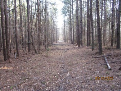 0 Obie Smith Rd unit 2491301, Atlanta, LA 71404 - photo 7