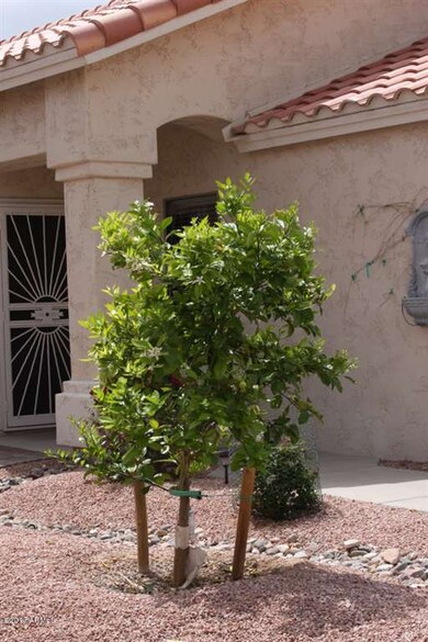 Citrus tree