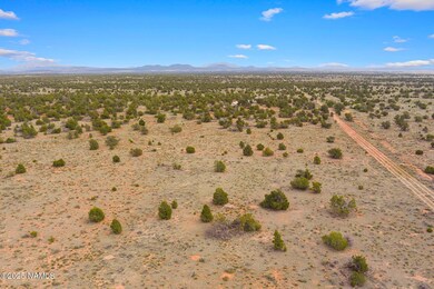 50178020d Kaibab Rd, Williams, AZ 86046 - photo 7