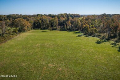 0 Bloomington Rd, Baxter, TN 38544 - photo 7