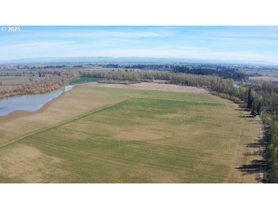 0 SE Upper Island Rd, Dayton, OR 97114 - photo 4