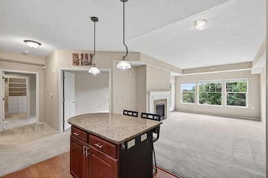 Kitchen / living room