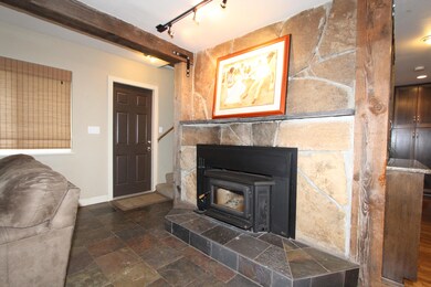 Fireplace insert