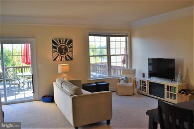 202 Cross Keys Place, Stephens City, VA 22655 - photo 3