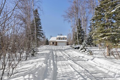White Spruce Prof from road