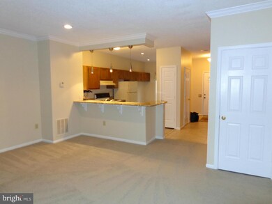 7131 Cold Spring Place, Alexandria, VA 22306 - photo 6