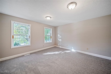 Carpeted spare room with plenty of natural light and a textured ceiling